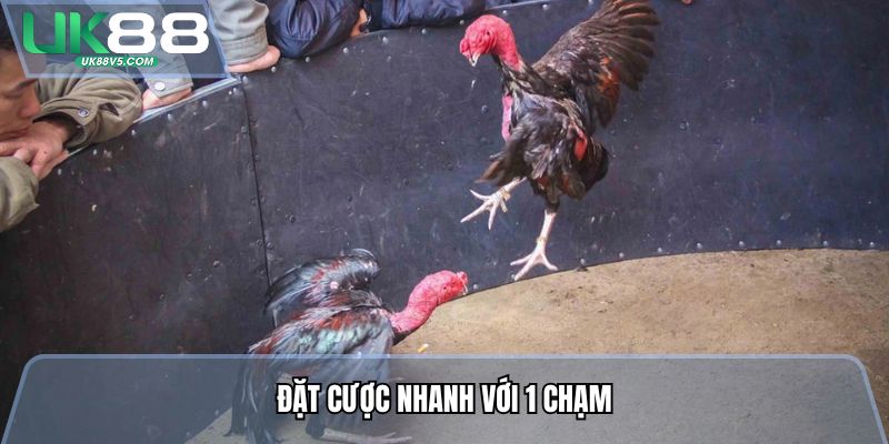 Đặt cược nhanh với 1 chạm