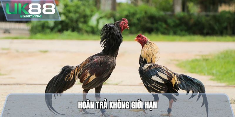 Đá Gà Asia - Tiền Thưởng Nạp Khủng, Hoàn Trả Mỗi Ngày 3 Hoàn trả không giới hạn