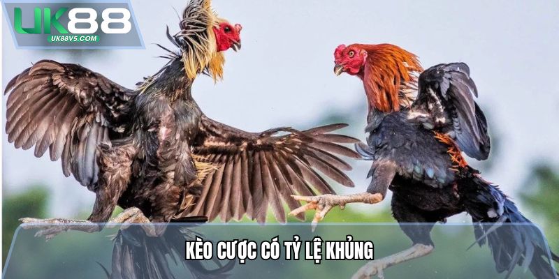Kèo cược có tỷ lệ khủng