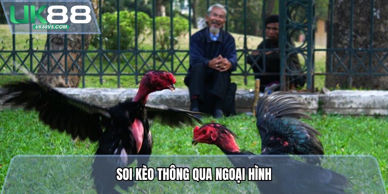 Soi kèo thông qua ngoại hình